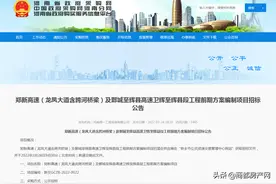 直通北龙湖的龙凤大道要开工了 | 最惨远郊楼市还能抢救一下吗？图片