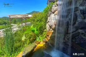 这款与众不同的竹筒饭套餐，是隐藏在东阳大山深处的特色美食图片