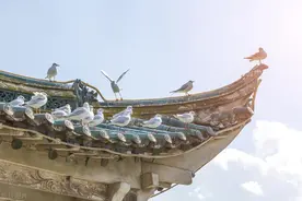 李白写得最肉麻的诗《清平调三首》，告诉你杨贵妃究竟有多美！图片