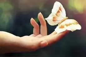 世上所有的遇见，都是久别的重逢图片