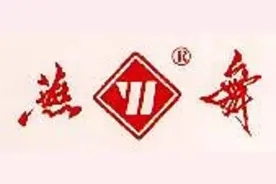 新飞冰箱/燕舞录音机/春兰空调都是童年回忆啊！命运各不相同图片