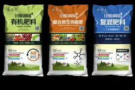 常见肥料及施用方法图片