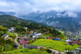 “家有4声叫，不是好兆头”，“4声”分别是指什么？有道理吗？图片