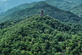 「寻迹两千年古堰·名人篇」“锦江春色来天地，玉垒浮云变古今”，且看诗圣杜甫笔下的都江堰~图片