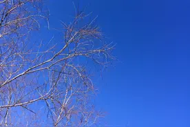 适合孩子生日的文案图片