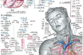 能掌手术刀，也能握画笔！广东名校医学生笔记曝光，手绘人体结构堪比印刷！图片