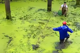 男子5万承包野鱼塘仅捞出4条鱼图片