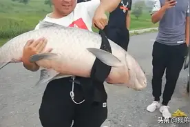 辽宁钓友水库钓到巨青，有人当场出7000，钓鱼也能发家致富吗？图片