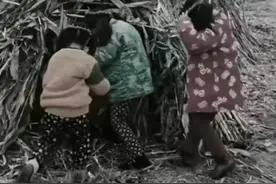 能看懂七八十年代这些老照片的，现在都多大了？都不年轻了吧图片