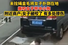 金毛未栓绳扑倒女子撕咬怀中小狗！知情人：女子被咬，全身多处擦伤，律师：狗主人应承担全部责任！图片
