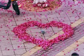 何为“crush”？图片