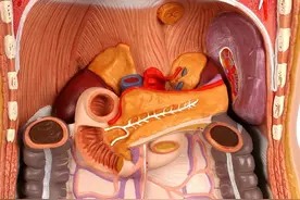 第十集“吃货”不仅会吃，还懂这些，这才是高品质，的健康生活图片