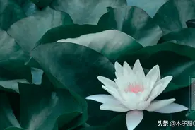 今日夏至：沟渠里积雪化得快的是北方还是南方？图片