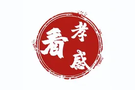 好消息！孝感96个村庄即将规划建设！计划于11月底前完成！图片