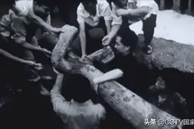 堪称“东方巨人”的青铜雕像，1986年惊现于世图片