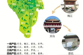 「强烈收藏」新会陈皮百科——新会陈皮的一线核心各产区的区别图片