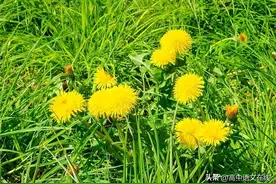 最美古诗词｜花间集中的十首肉麻情诗，令人怦然心动图片