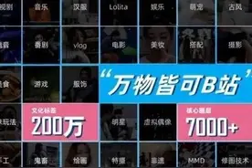 揭秘！夏日祭潜伏十年，举办者是B站陈睿？他曾加入日本籍被拒图片