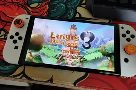 分享switch lite 和oled版本使用体验图片