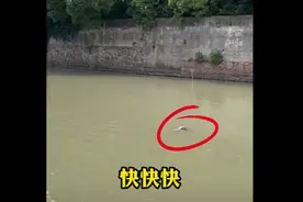 大叔与快递小哥合力救下溺水女子图片