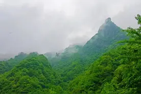 画家顾丽华老师的生活照片和书画图片