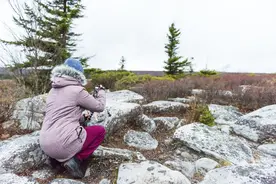 你知道，古人是穿什么过冬的吗？图片