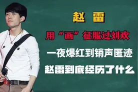 一夜爆红到销声匿迹，用“画”征服过刘欢，赵雷到底经历了什么图片