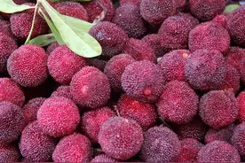 杨梅里有小白虫，不能吃？图片