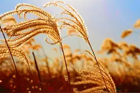 遇事最好的处理方式图片