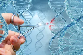 人类为何不能实现“永生”？科学家：人类只是在给基因打工罢了图片