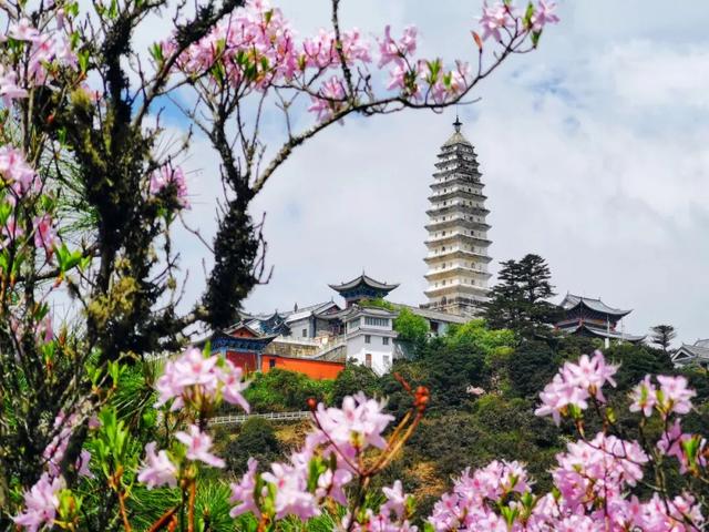 4月11—19日楚雄人免费游鸡足山！