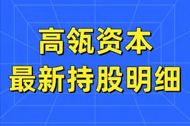 高瓴资本投资了哪些公司？高瓴资本持股明细图片