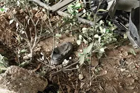 事发石家庄街头！一老人被压SUV车底，20多位市民齐心抬车救人图片