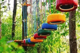 丛林穿越要注意什么图片