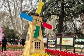 人民公园@全体市民：10万余株郁金香开好了！图片