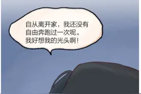 漫画故事：小狐狸让狗狗开心了图片