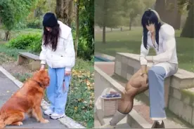 从编程再到制定计划毁灭人类，到底还有什么是这AI不会的？图片