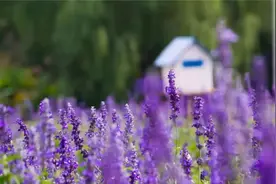 经常这样和你说话的人，说明内心瞧不起你，别深交了图片