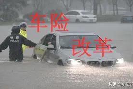 改革后的车损险包含哪些险种，新的车损险包含不计免赔险吗？图片