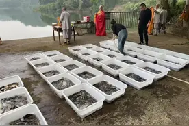 佛家讲放生，是在积德行善。做为人看到动物被虐或杀，于心不忍。图片