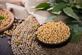 乳腺癌手术后饮食注意事项图片