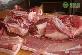 猪肉价格回落至二级预警区间，今日猪肉价格多少钱一斤？图片