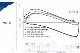 生物标志物筛选+GWAS等多组学分析+预后分析=8分+纯生信图片