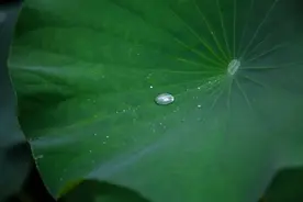 汉字还能这么玩！100个字谜，跟孩子一起猜图片