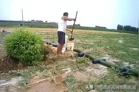 记者调查：邯郸浇地水价五花八门, 从三五块到一百多，浇一亩地到底该花多少钱？图片