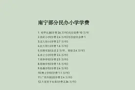 南宁部分民办小学学费，排第一个都可以直接一套房子首付！图片
