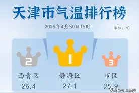 天津发布今年首个雷雨大风预警！假期多风，注意防范！图片