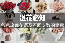 送花有讲究，玫瑰花语、支数寓意你得懂|马克花艺图片
