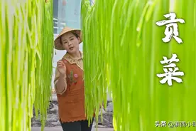 贡菜不是莴笋——晒干后清甜爽口的“蔬菜”图片