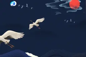 当信阳毛尖遇见苏州碧螺春，河南卫视的这支Rap视频又“燃”出了圈！图片